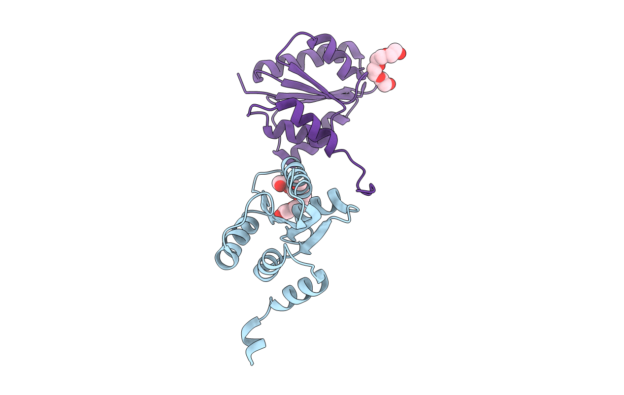 5T3U image
