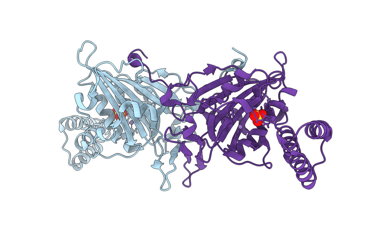 5T3V image