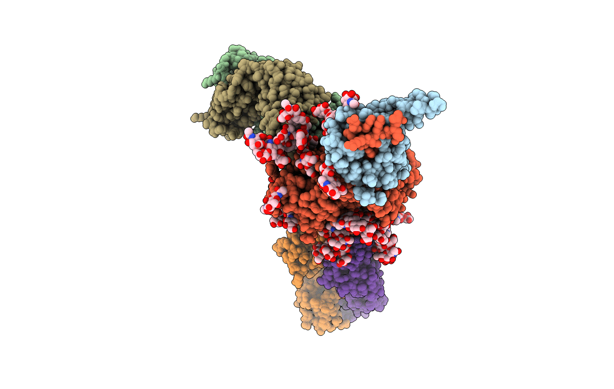 5T3X image