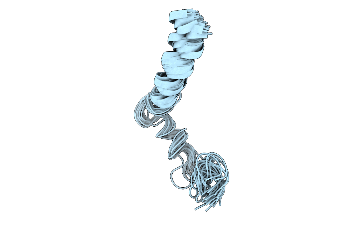 5T42 image