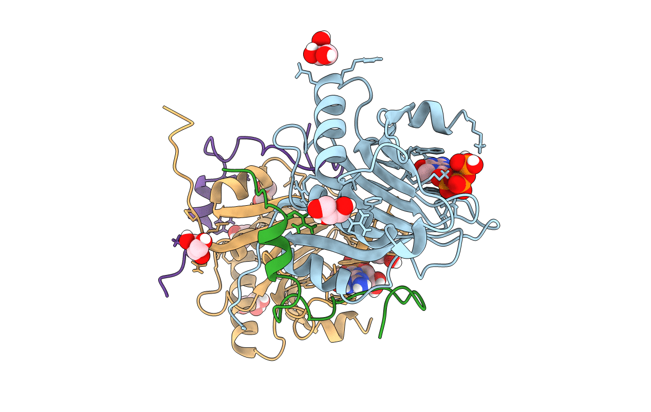 5T46 image