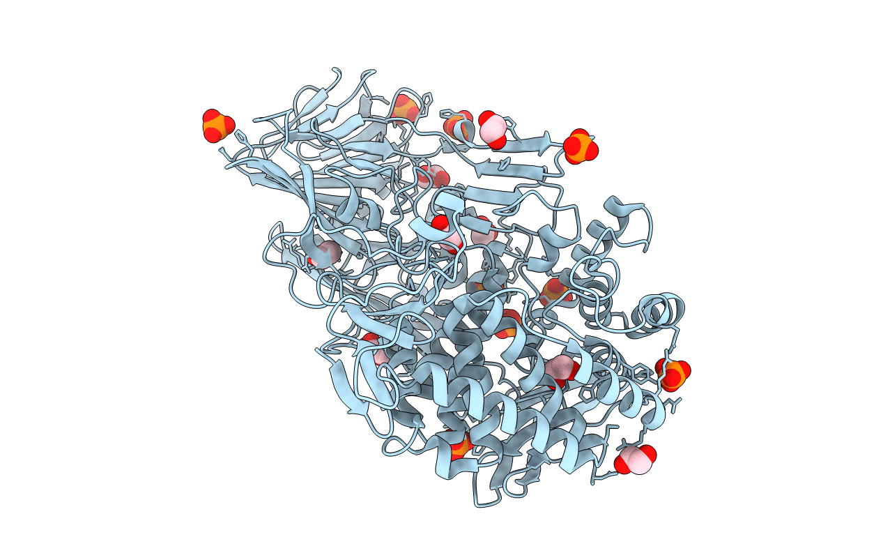 5T49 image
