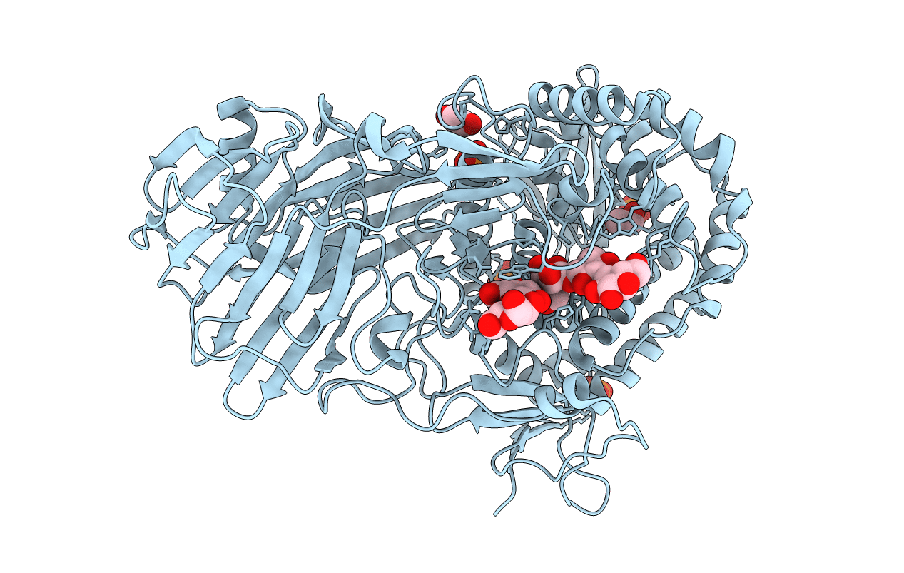 5T4A image