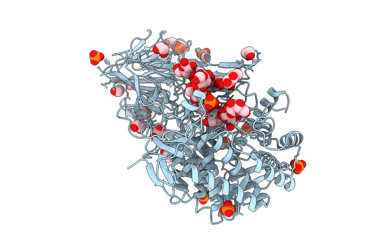 5T4C image