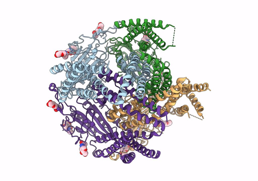 5T4D image