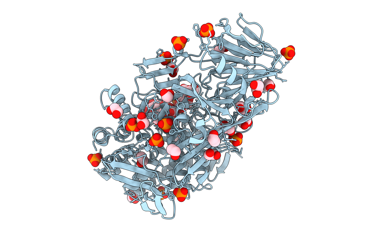 5T4G image