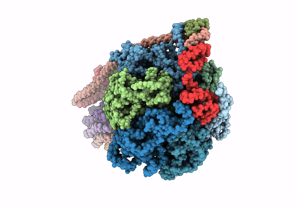 5T4O image