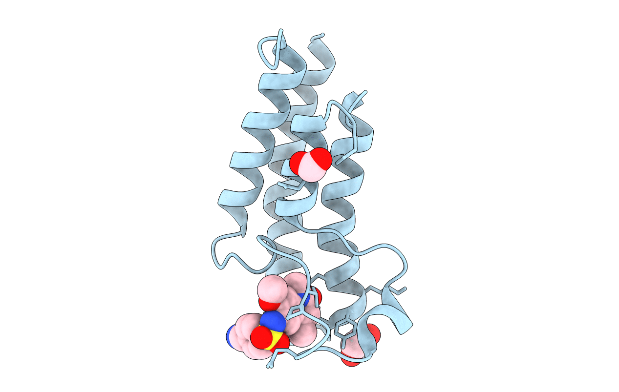 5T4V image