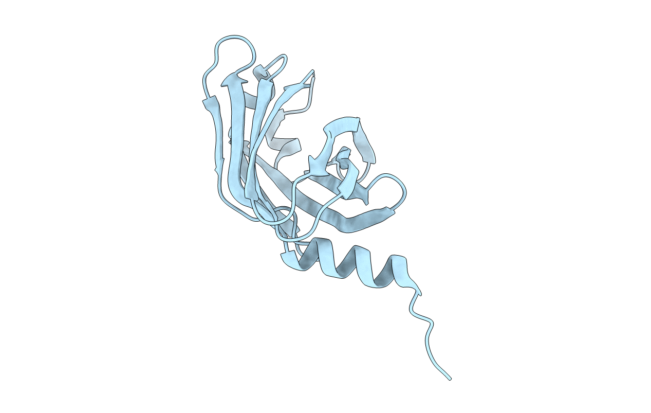 5T4X image