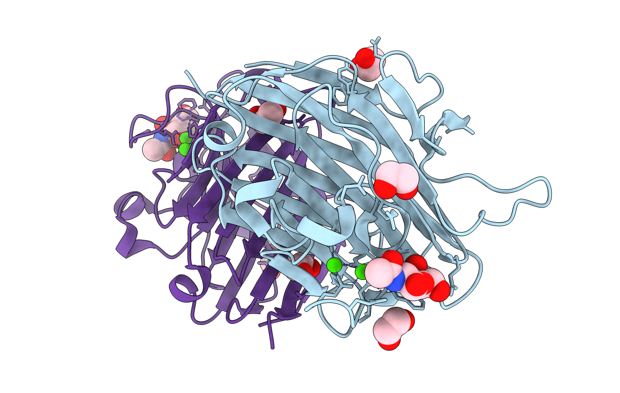 5T52 image