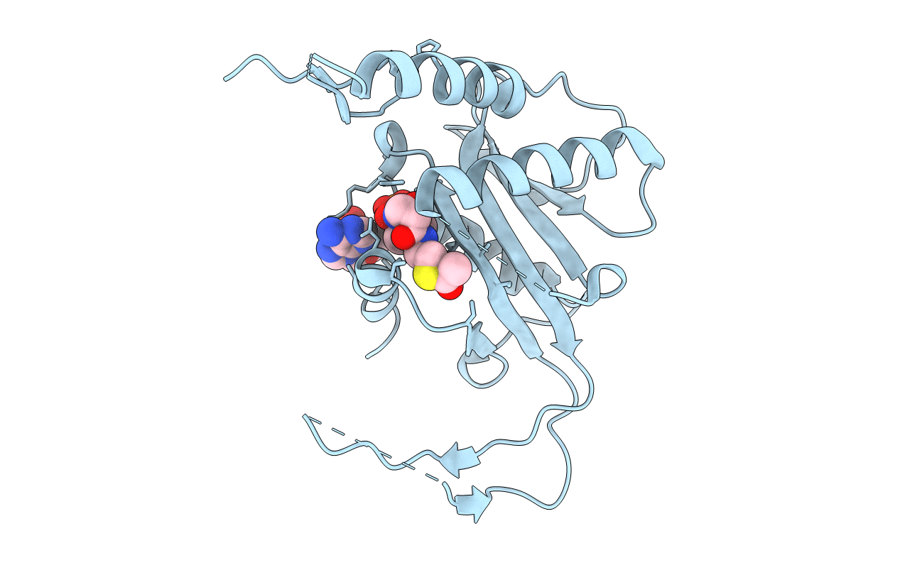 5T53 image