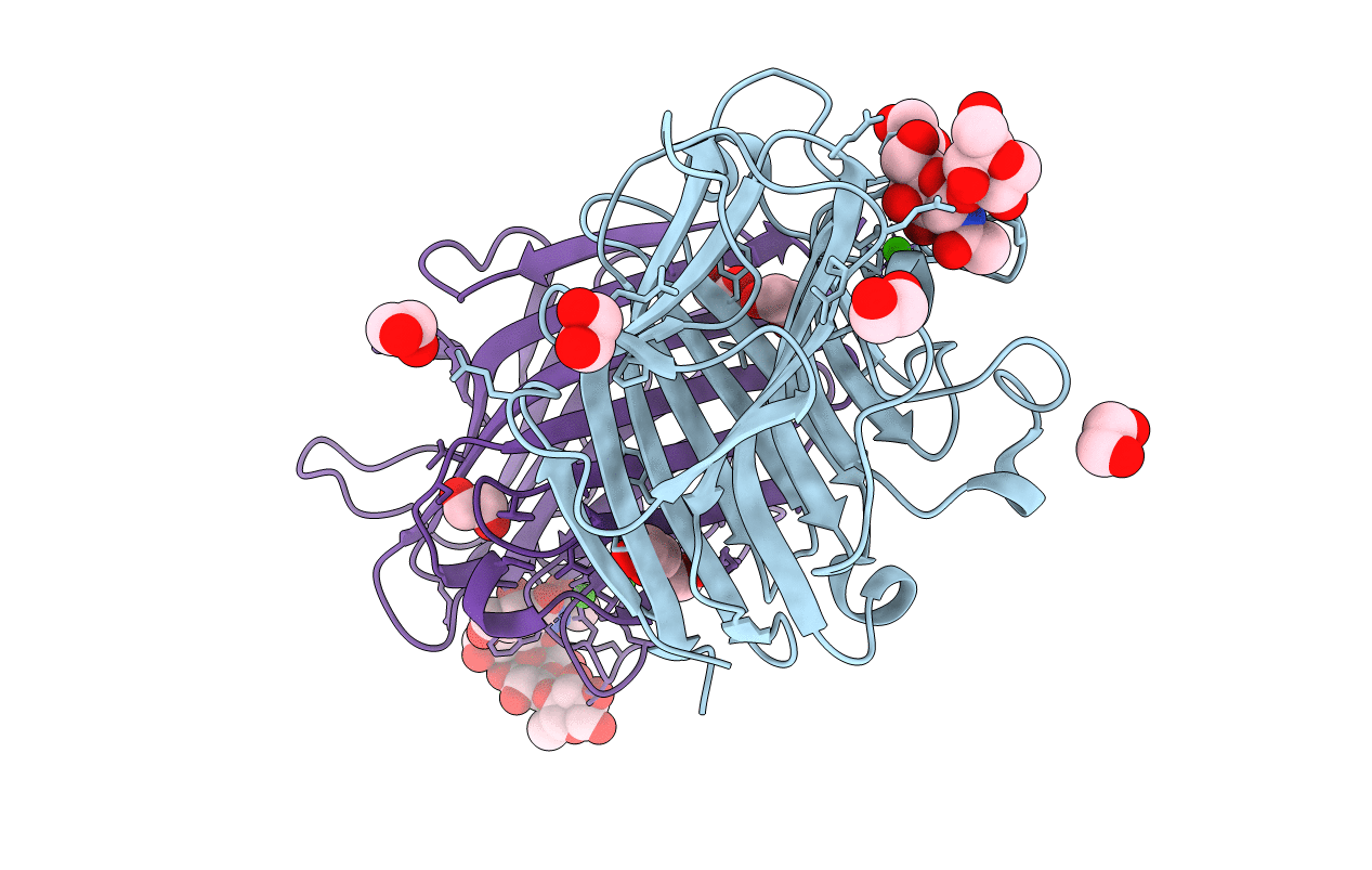 5T55 image