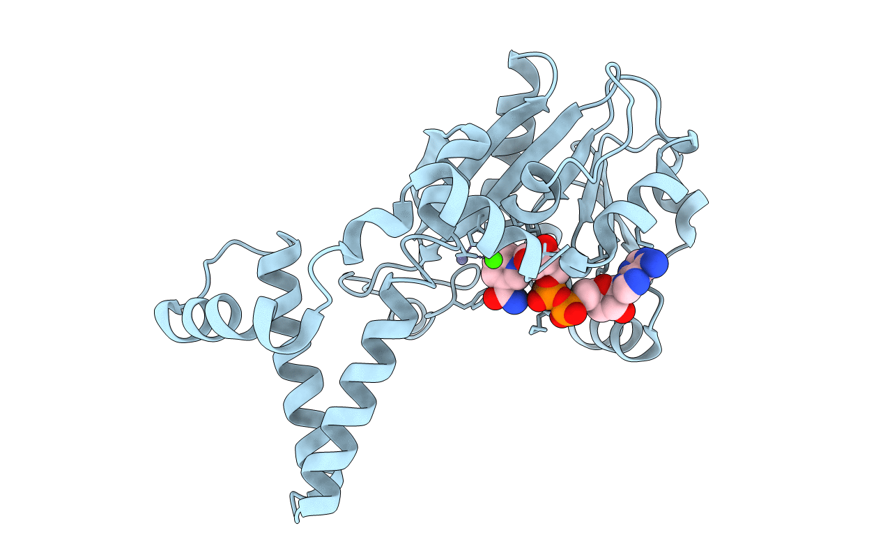 5T57 image