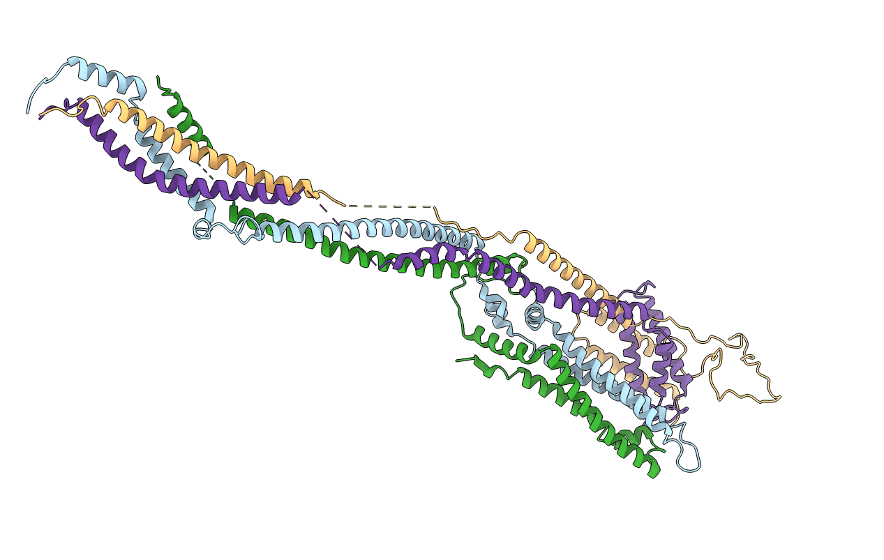 5T58 image
