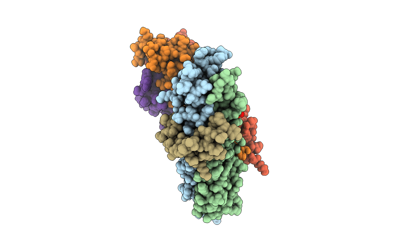 5T59 image