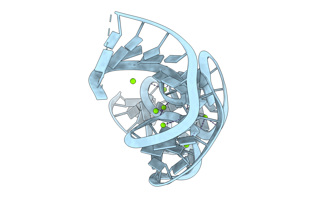 5T5A image