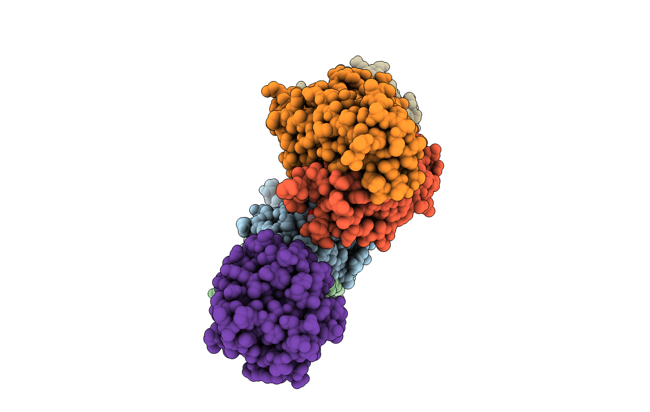5T5B image