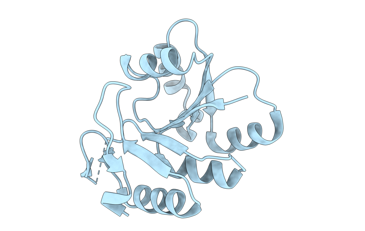 5T5D image
