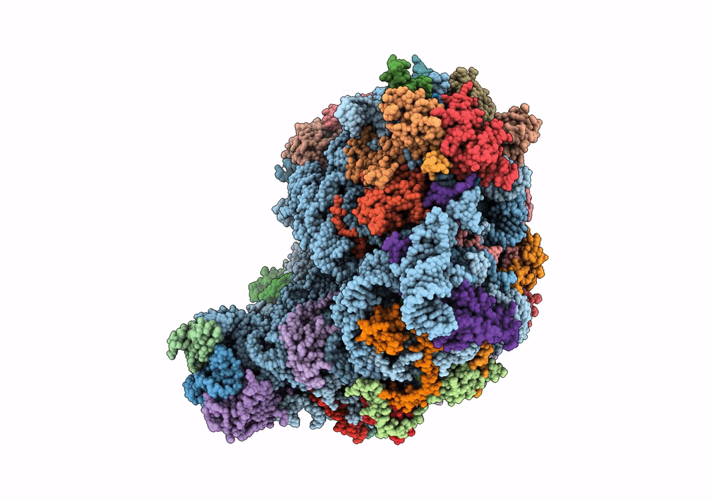 5T5H image