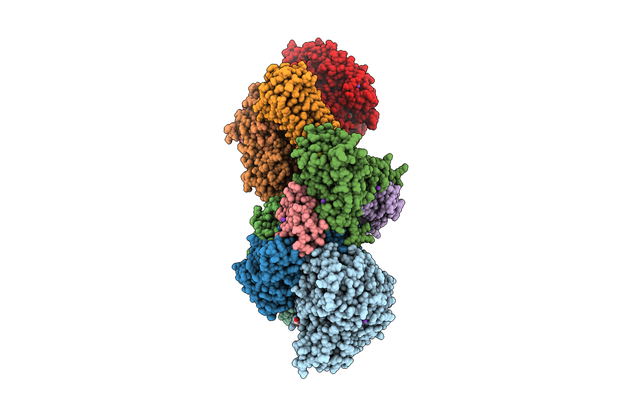 5T5I image