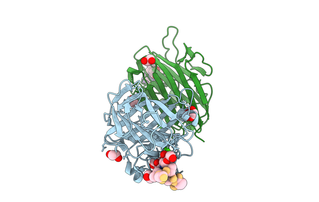 5T5J image