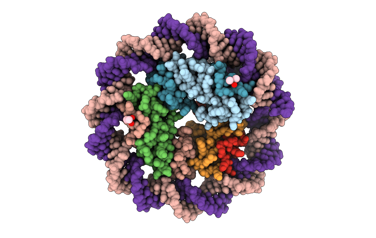 5T5K image