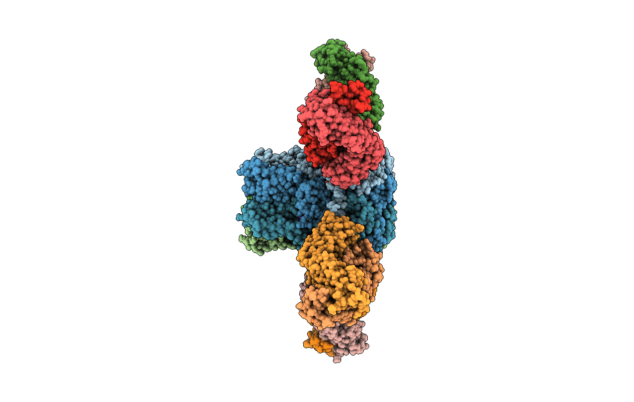 5T5N image