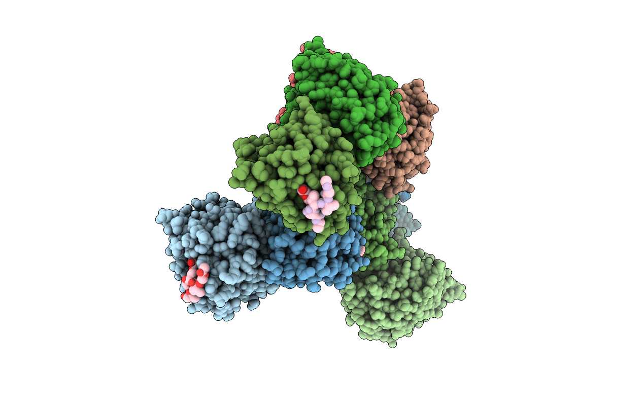 5T5O image
