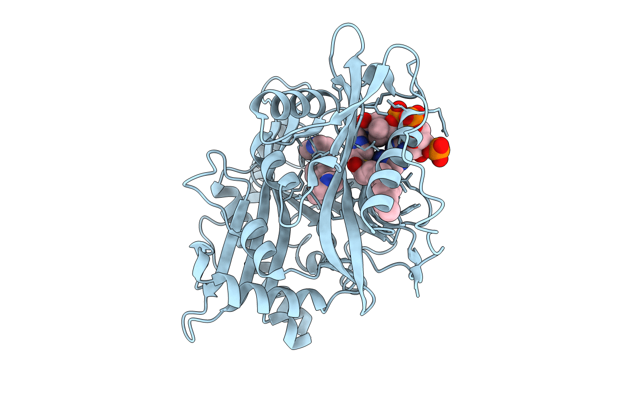 5T5U image