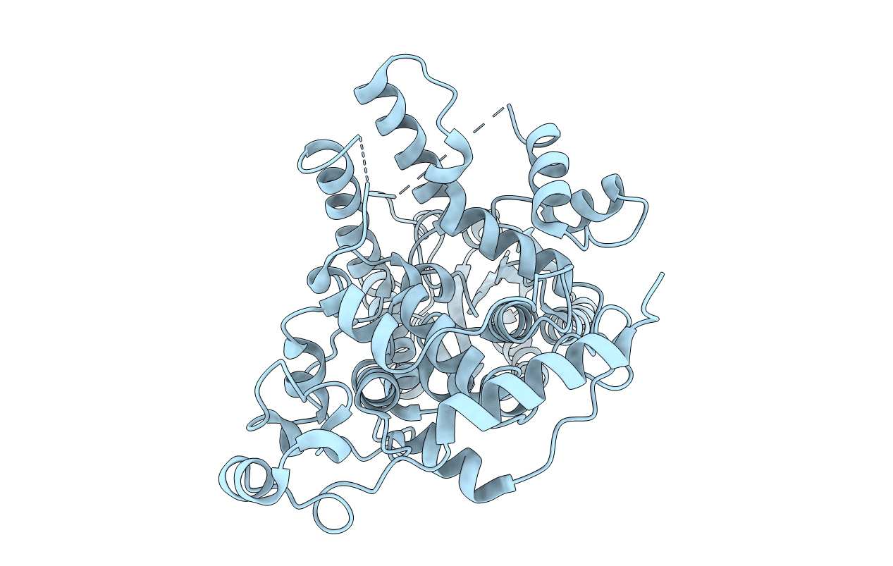 5T5X image
