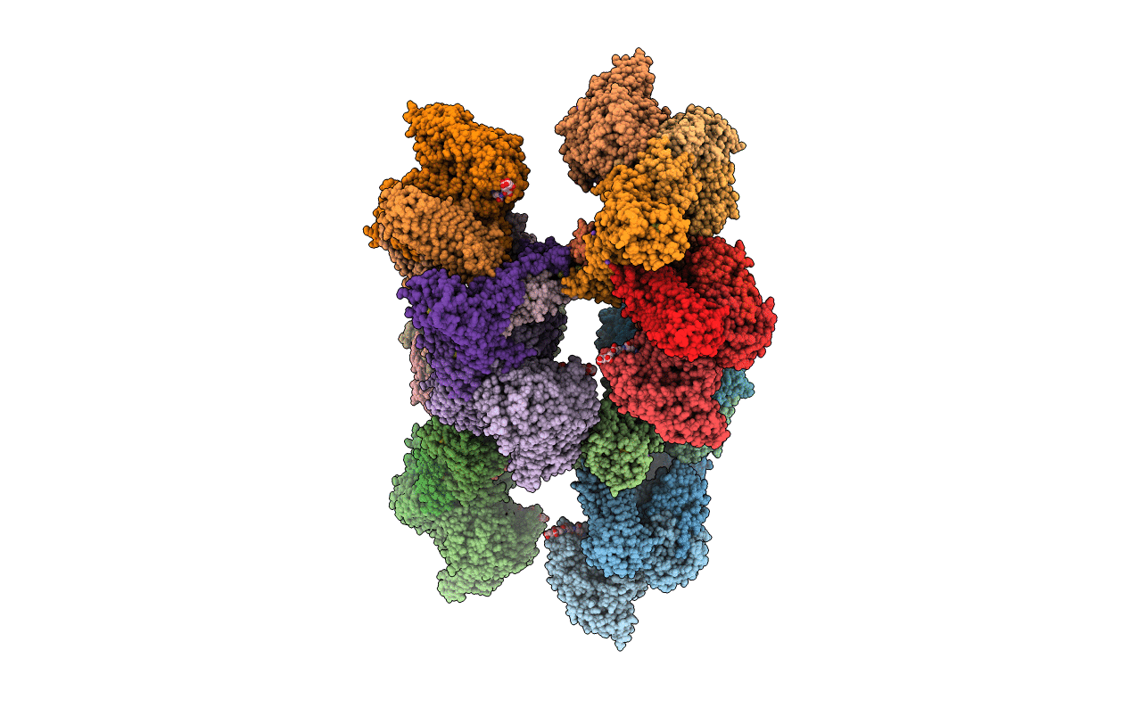 5T61 image