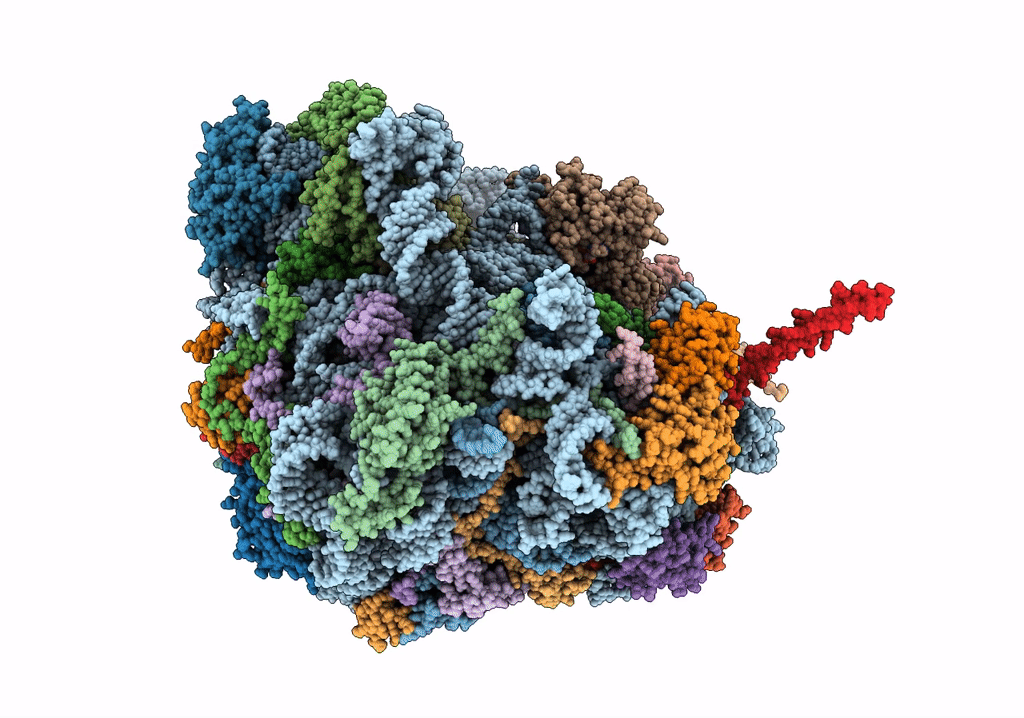 5T62 image