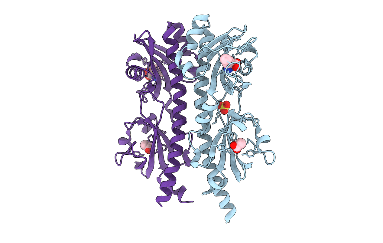 5T65 image