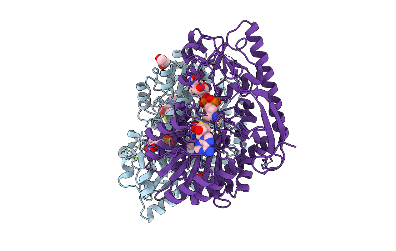 5T67 image