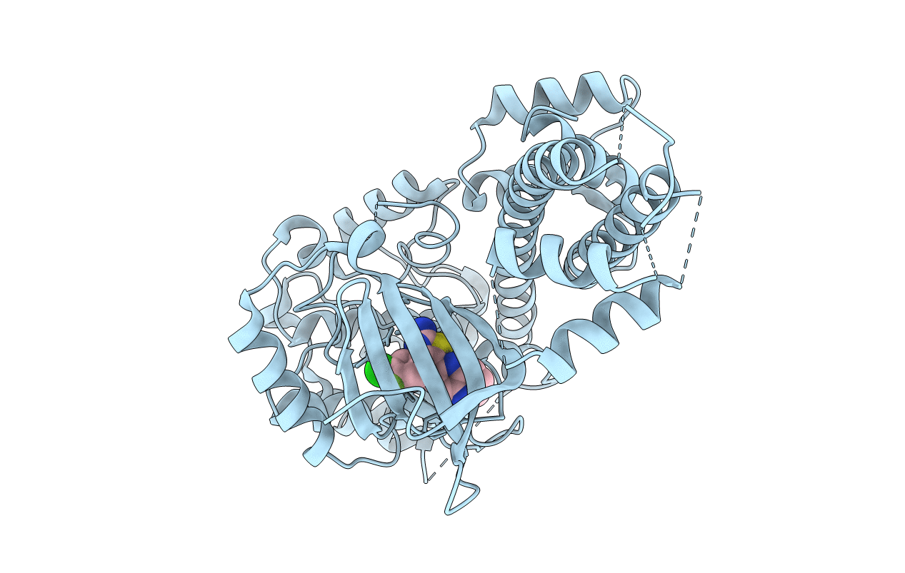 5T6A image