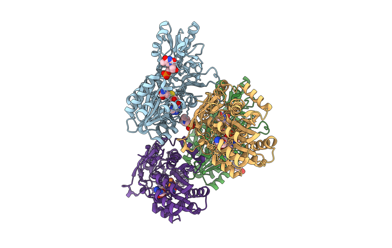 5T6B image