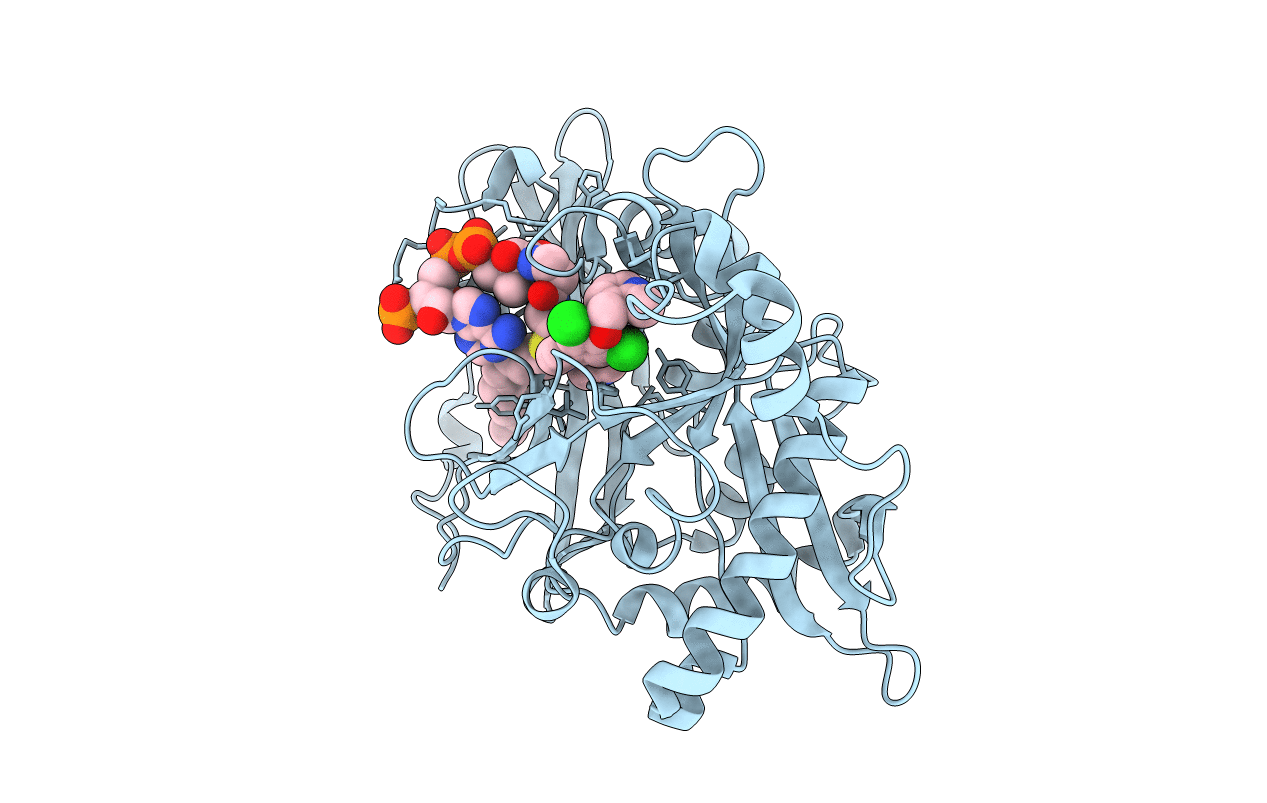 5T6C image
