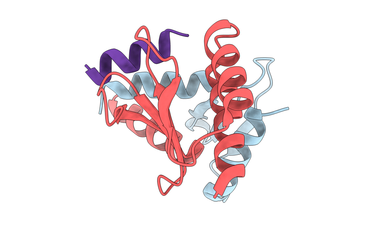 5T6J image
