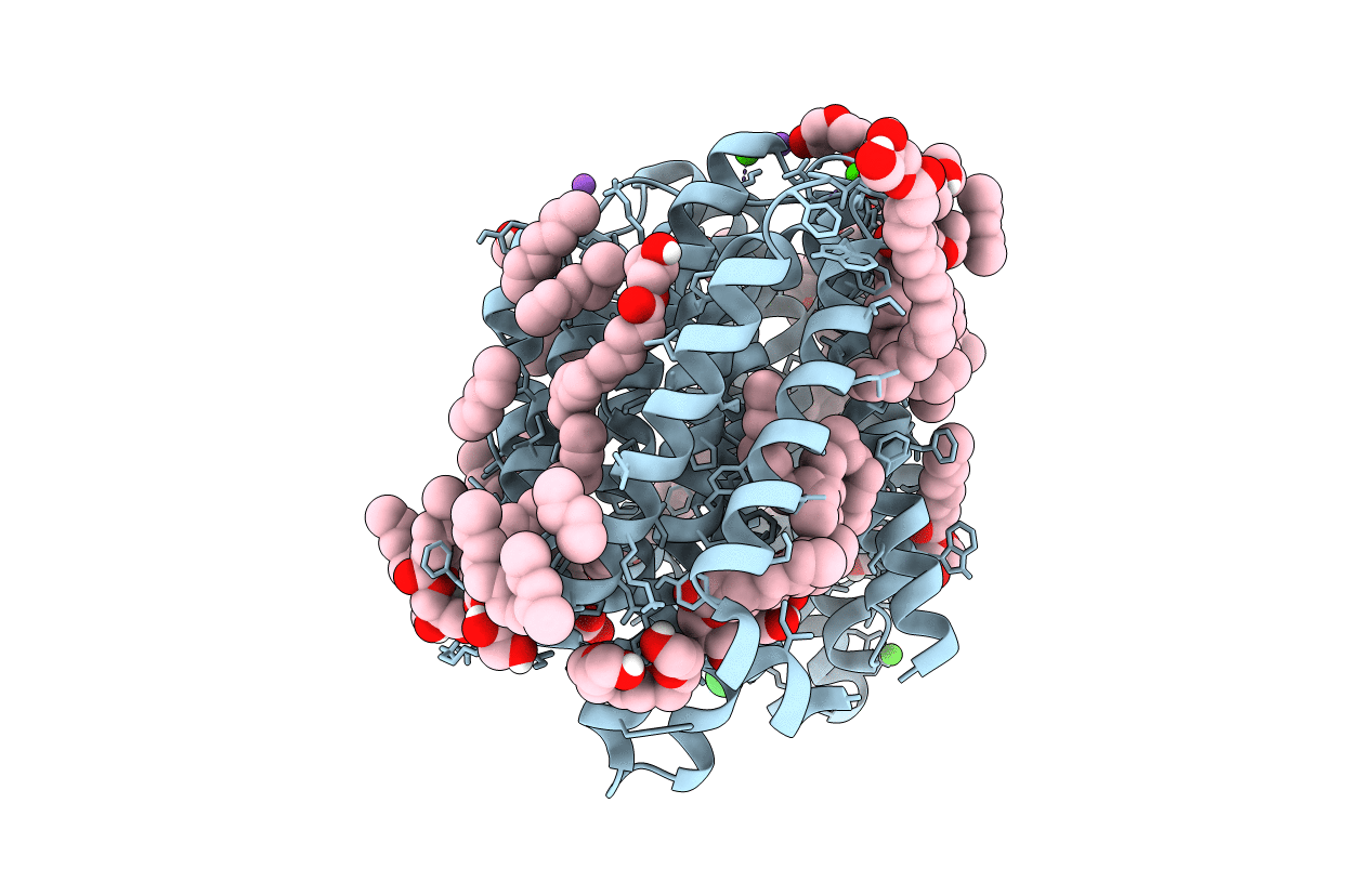 5T77 image