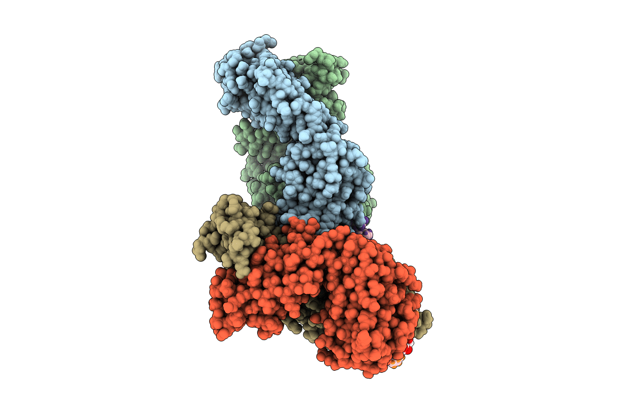 5T78 image