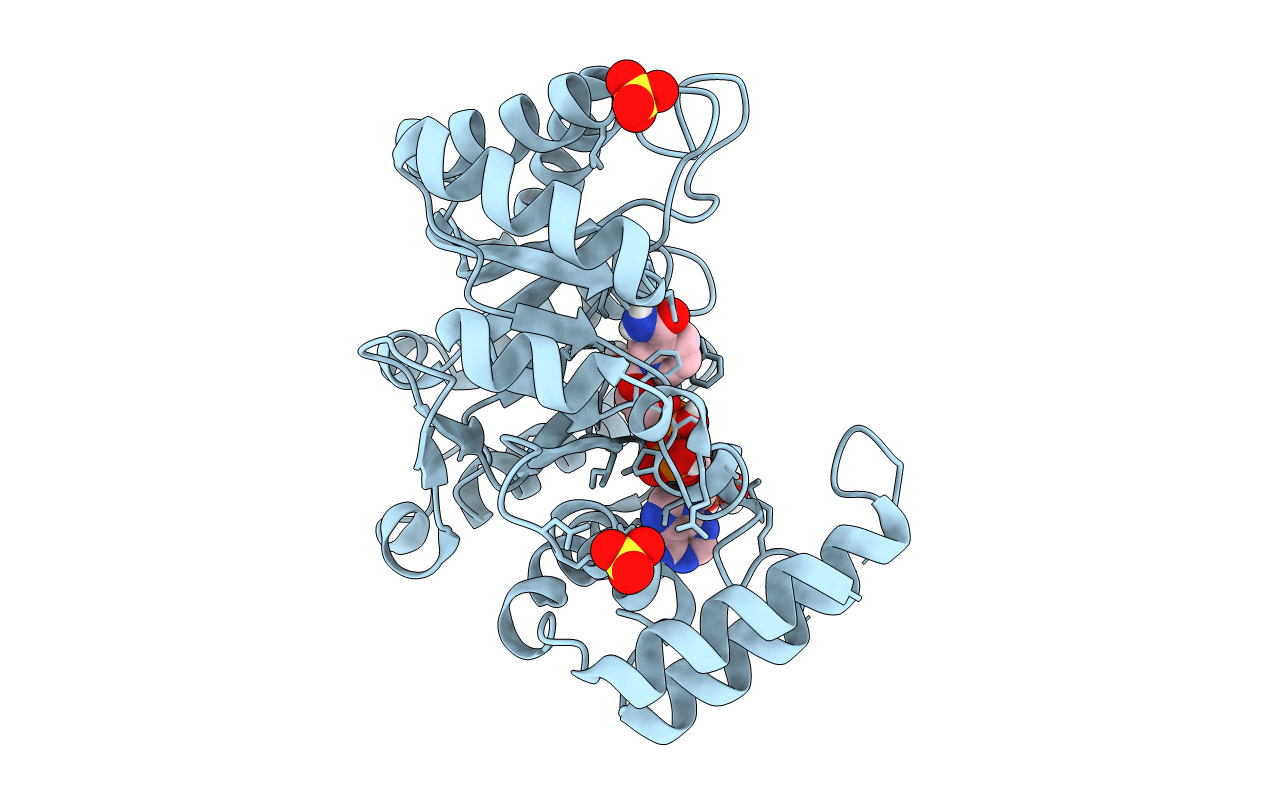 5T79 image