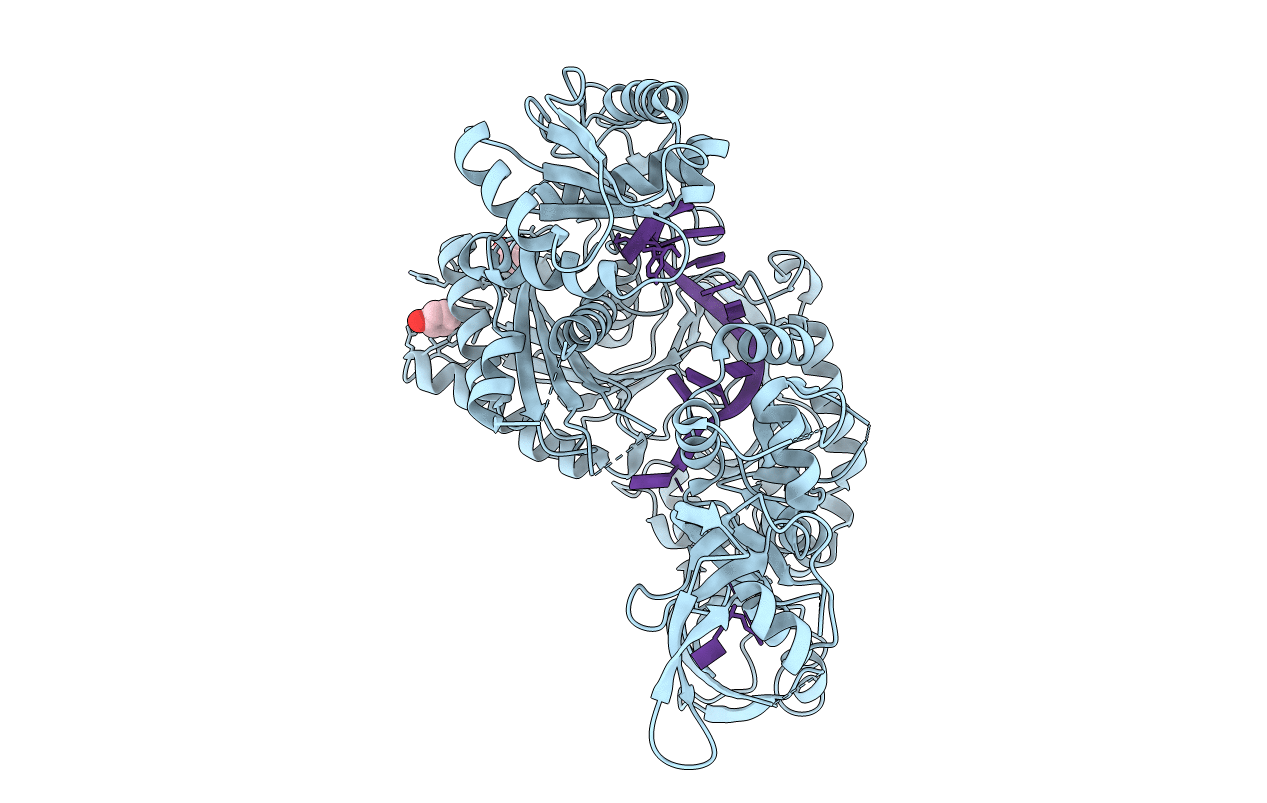 5T7B image