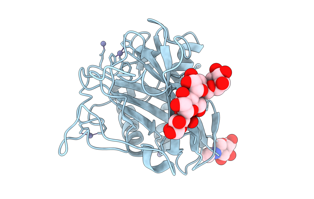 5T7N image