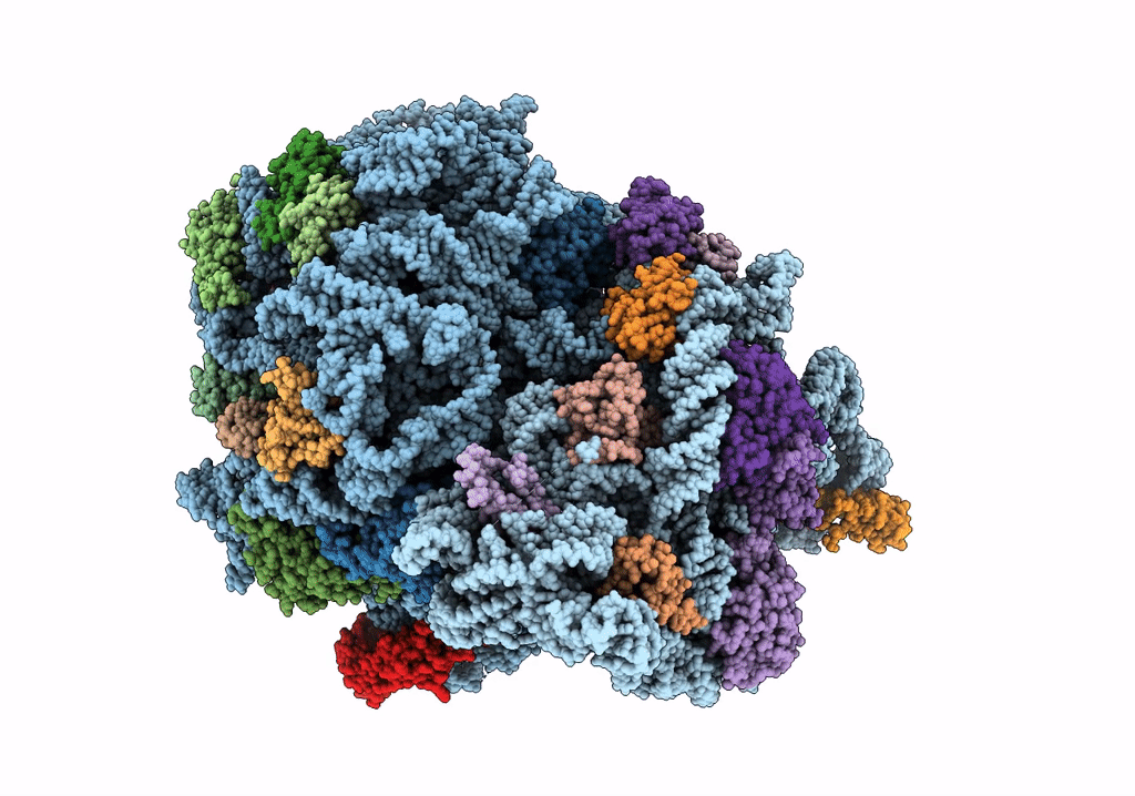5T7V image