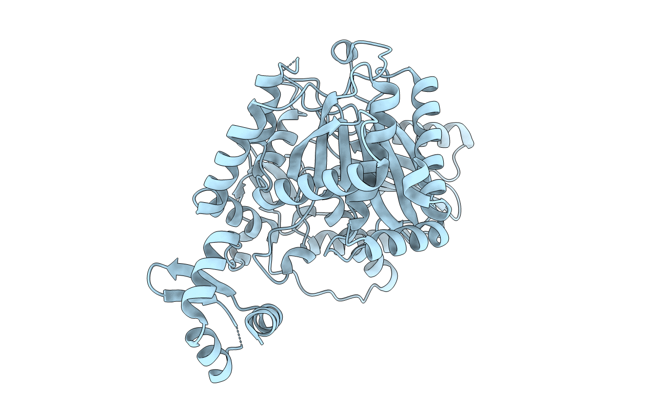5T7Z image