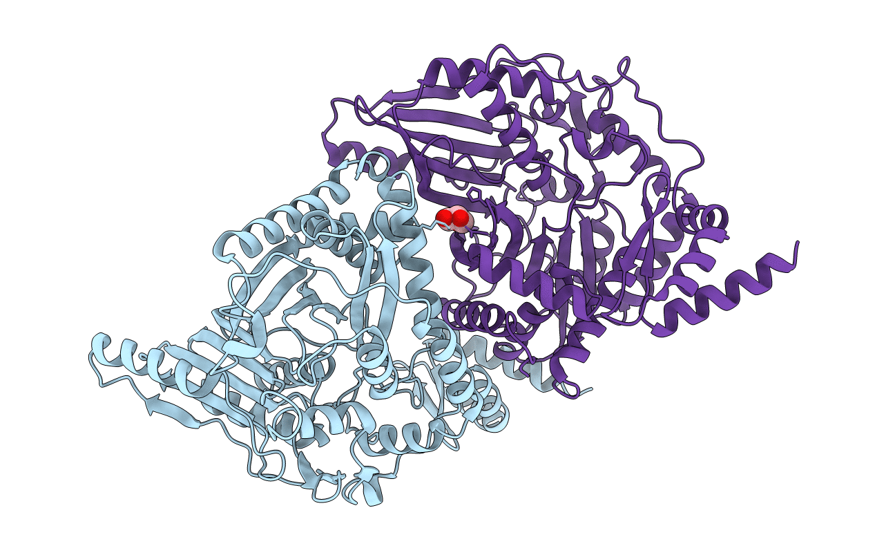 5T81 image