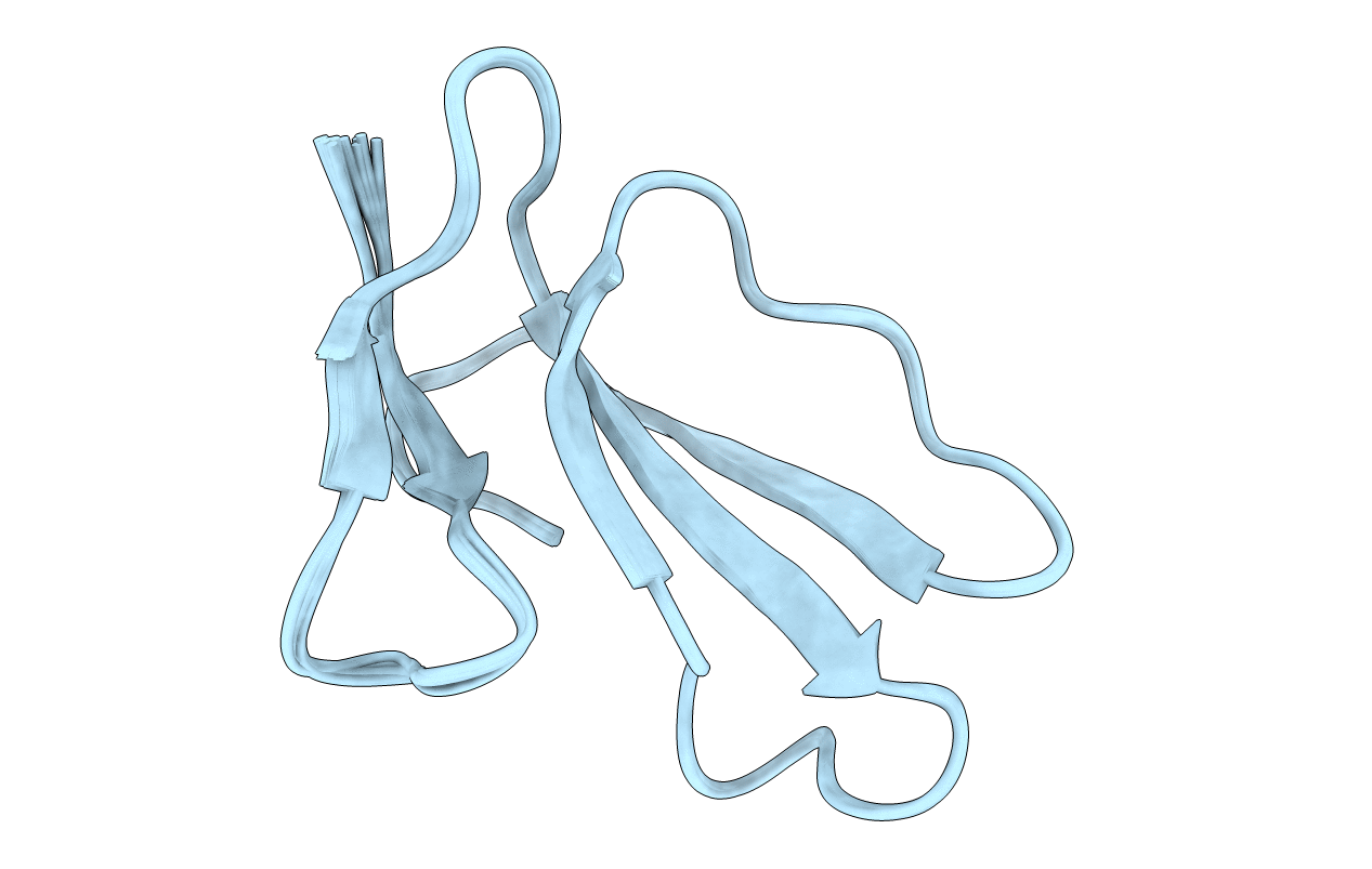 5T8A image