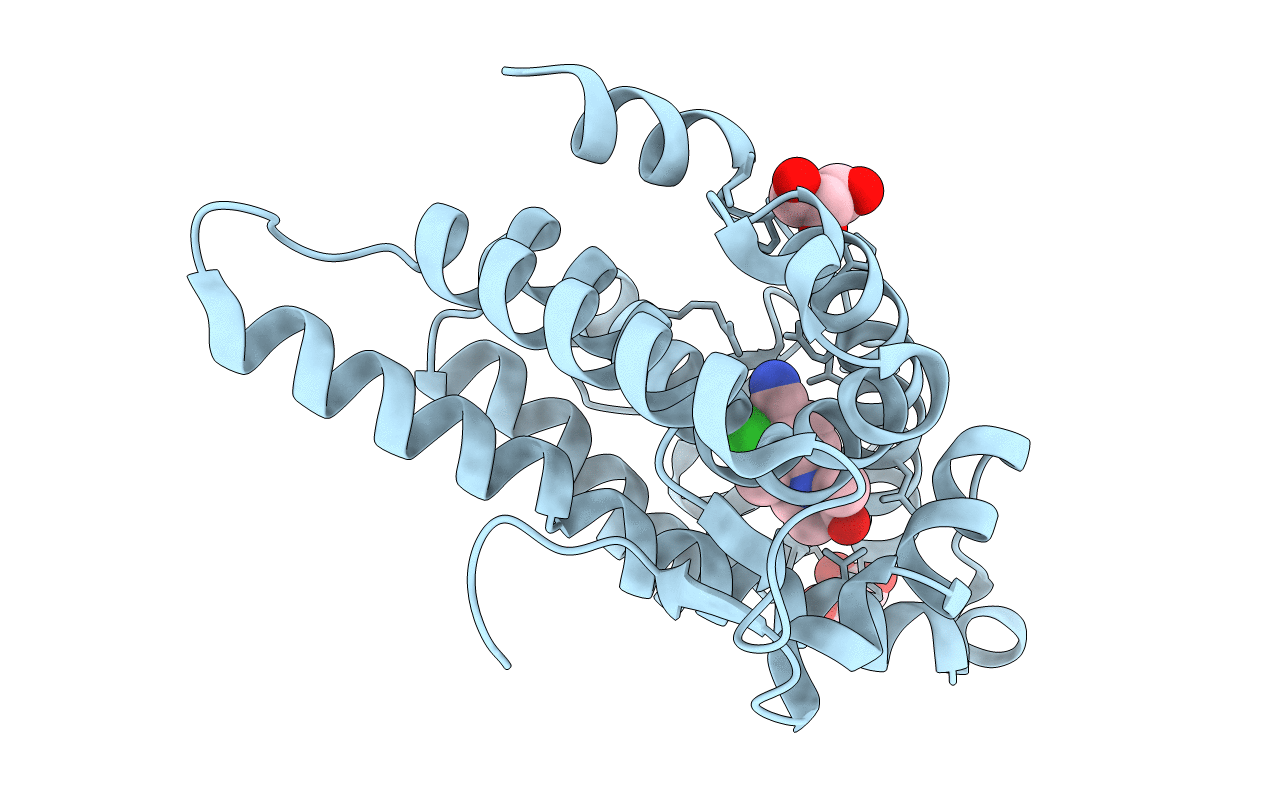 5T8E image