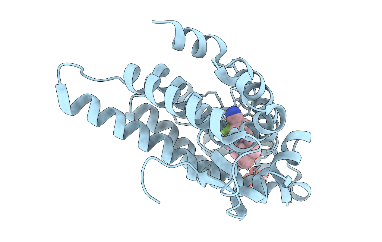 5T8J image