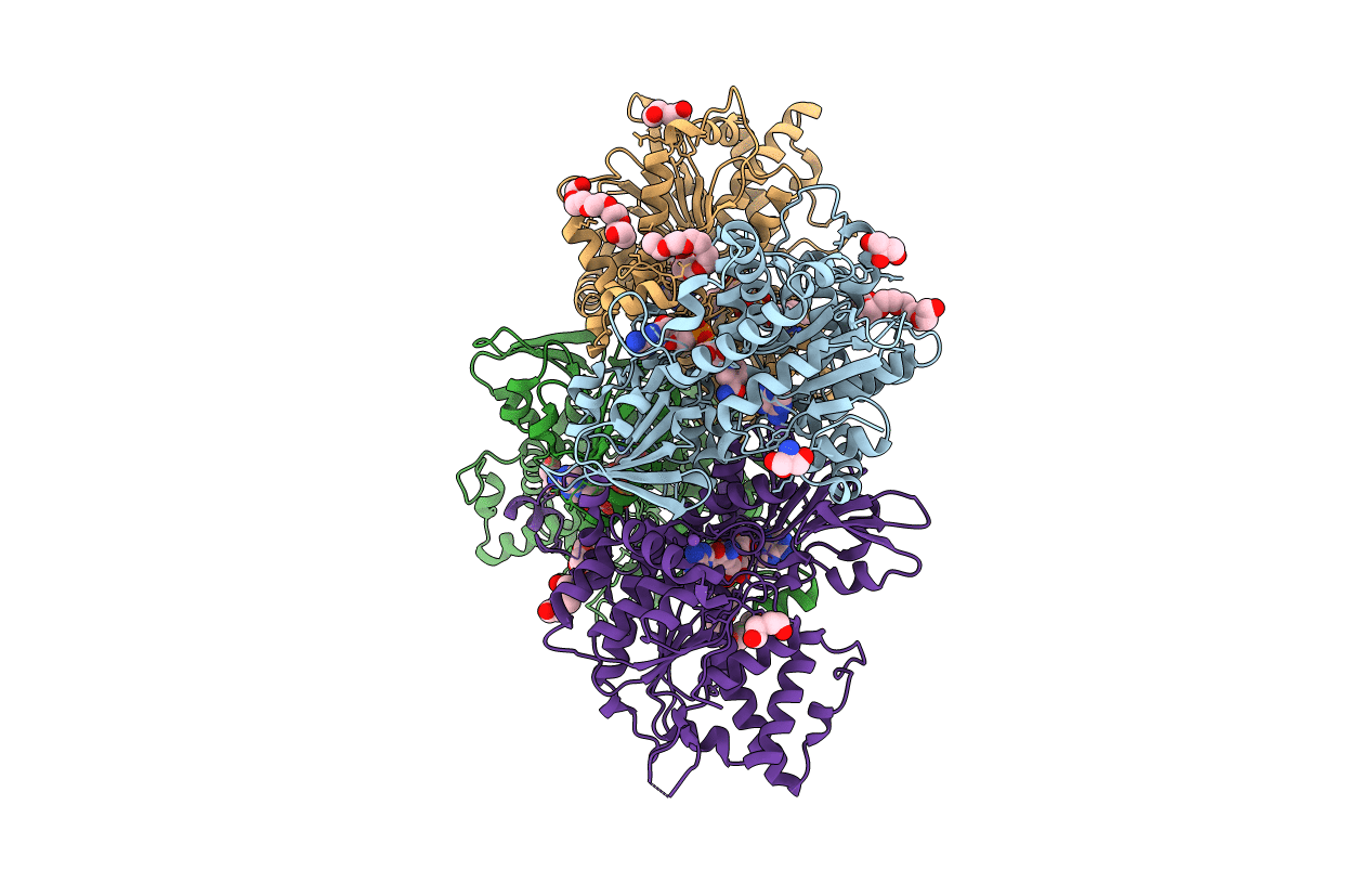 5T8K image